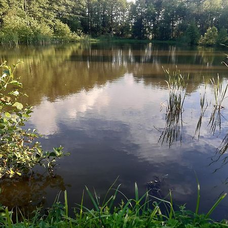 Marcinowka Villa Gołdap Exteriör bild