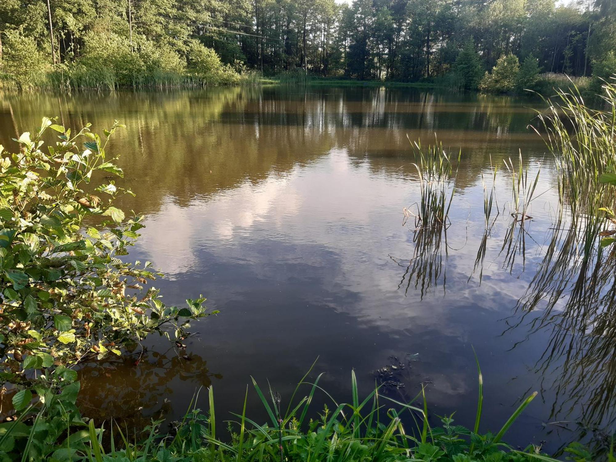 Marcinowka Villa Gołdap Exteriör bild